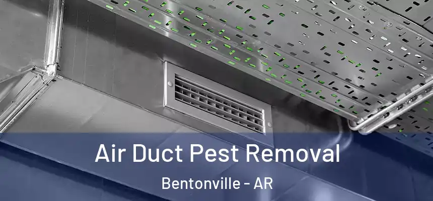 Air Duct Pest Removal Bentonville - AR