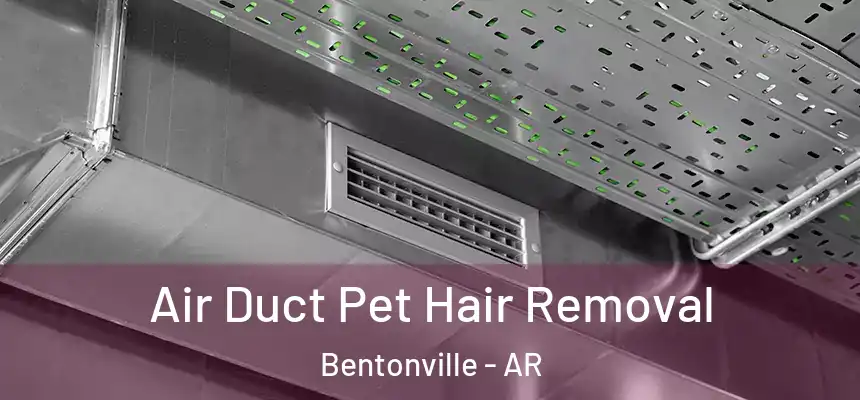 Air Duct Pet Hair Removal Bentonville - AR