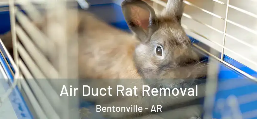 Air Duct Rat Removal Bentonville - AR