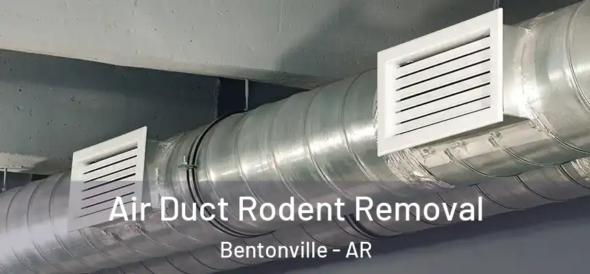 Air Duct Rodent Removal Bentonville - AR