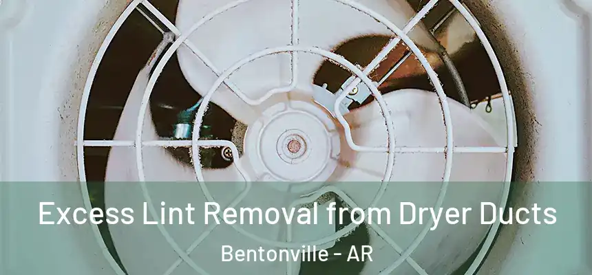 Excess Lint Removal from Dryer Ducts Bentonville - AR