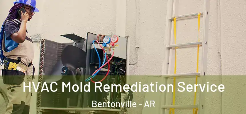  HVAC Mold Remediation Service Bentonville - AR