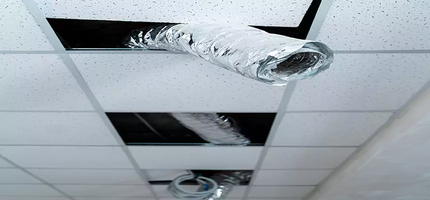 Our Air Duct Pet Hair Removal Services in Bentonville, AR