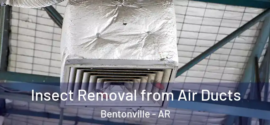Insect Removal from Air Ducts Bentonville - AR