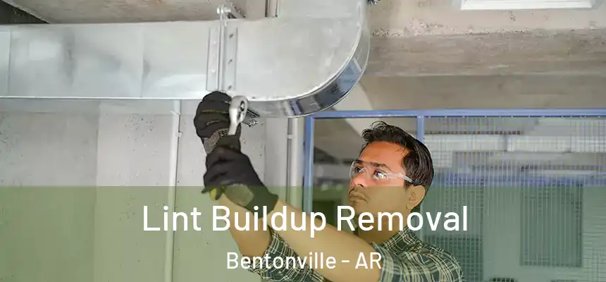 Lint Buildup Removal Bentonville - AR