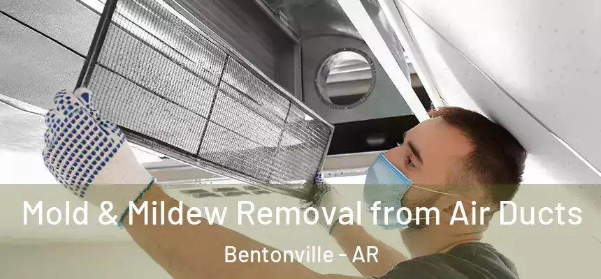 Mold & Mildew Removal from Air Ducts Bentonville - AR