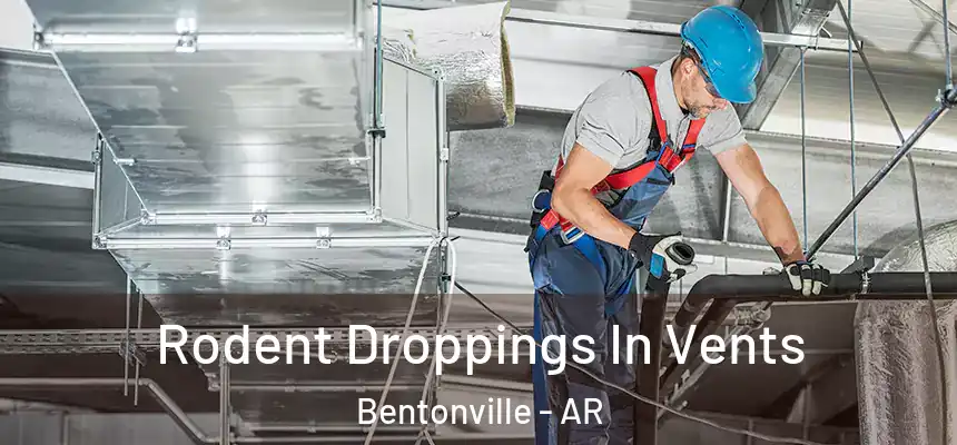 Rodent Droppings In Vents Bentonville - AR