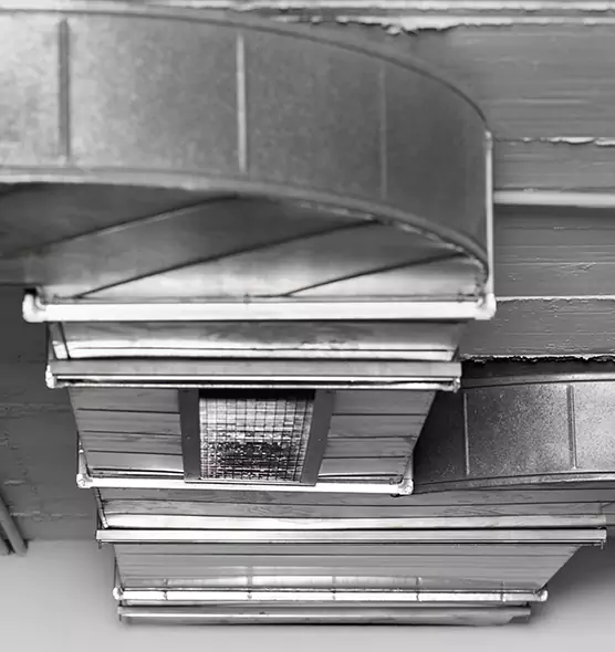 Professional Air Duct Pest Removal in Bentonville, AR