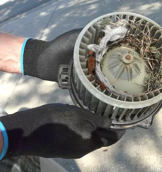 About Air Duct Rat Removal in Bentonville, AR