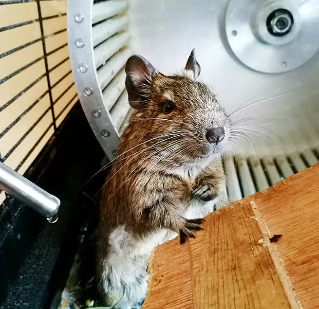 Why Homeowners & Businesses Trust Us Bentonville, AR